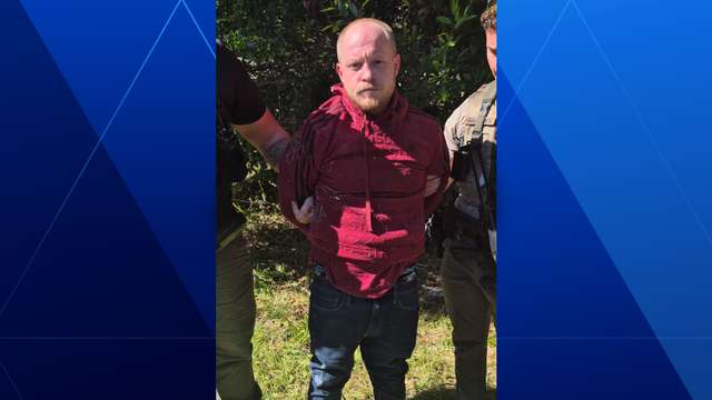 Man in custody after video shows him allegedly beating girlfriend