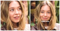 What Are Sydney Sweeney's Politics?