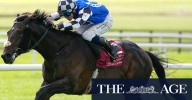 Melbourne Cup 2025: Al Riffa backed with huge bets after Flemington rain