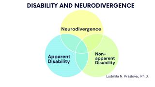Neurodivergence and Disability: Beyond the Checkbox Trap