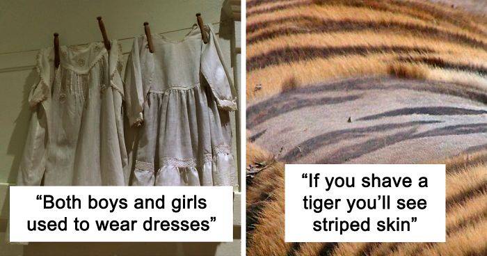 Parent Asks For Mind-Blowing But Simple Facts That Would Satisfy A 3