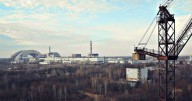 Chernobyl and its wildlife