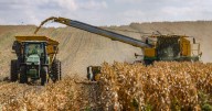 Wet weather keeps farmers out of fields, but harvest is nearing completion