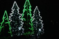 Festival of Lights returns on Friday