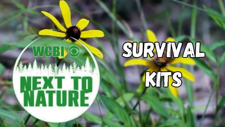 Next to Nature (Survival Kit)