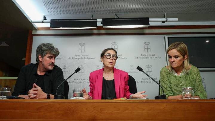 El PSOE no alterará su reforma del IRPF en Asturias, pero acepta gravar a los grandes propietarios de pisos y de vivienda turística