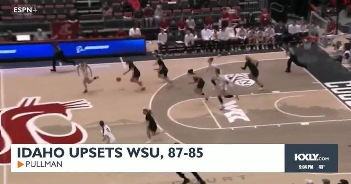 Idaho shocks WSU women's hoops in season