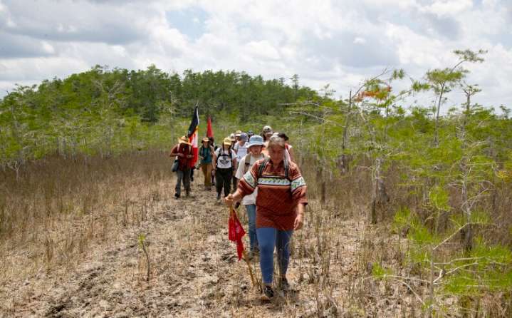 Sen. Kathleen Passidomo, Miccosukee Tribe, and others lauded by Audubon Florida