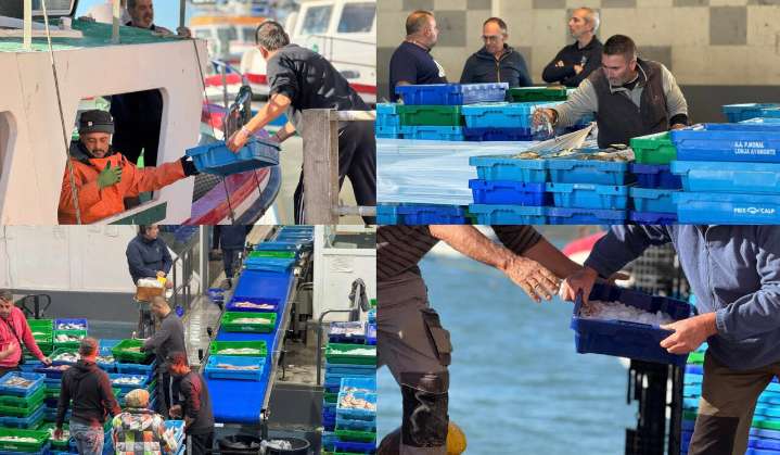 La Lonja, perfecta mezcla entre la tradición y la innovación