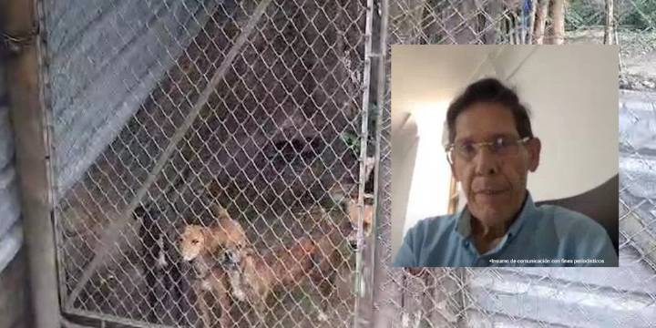 Imputan a hombre que tenía 14 perros albergados sin alimento ni agua, en Cali: uno murió y los otros se estaban alimentando de sus restos