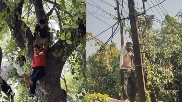 Indore News: Family Attempts Mass Suicide To Resist Encroachment Drive