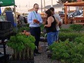 Inició la Fiesta Nacional de la Madera en San Vicente, con fuerte presencia del sector forestoindustrial