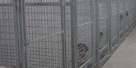 Volunteer spends 24 hours in dog kennel