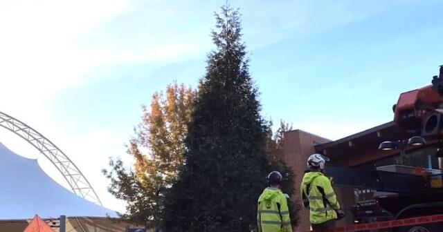 Charlottesville seeking vendors for this year's Grand Illumination