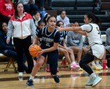 Basketball: Izzy Fernandez, South Elgin beat Jacobs
