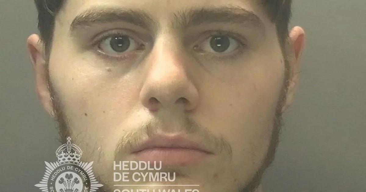 Drug-fuelled teen sank 8-inch blade into girlfriend and punched her cat to death