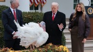 Trump pardons turkeys, attacks Biden and says Ukraine deal ‘close’