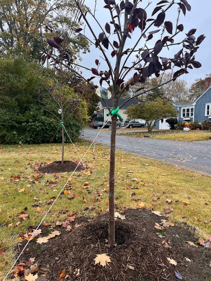 Barrington chipping away at 'Ready and Resilient' climate action plan