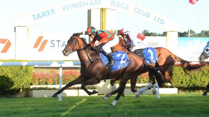 Race-by-race preview and tips for Taree on Sunday