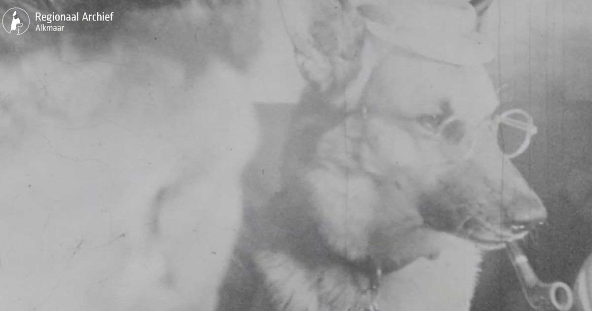 Nazi officials seen partying with pipe-smoking dog in clip where officials laugh and drink