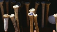 PETA Calls On MLB To Rename 'Bats' As Name Is Offensive To Nocturnal Flying Animals