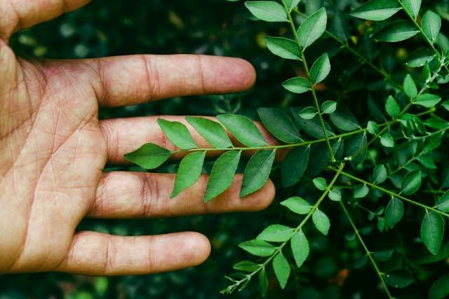 ¿Cómo impulsa Jalisco la economía circular en México?