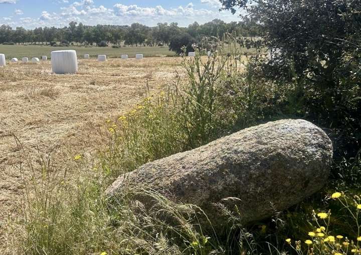 Un agricultor derriba en Toledo un menhir de 5.000 años al intentar enderezarlo con su tractor