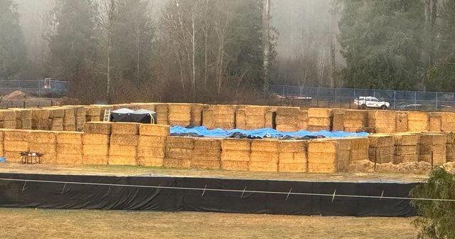 'Deep burial' for ostriches at B.C. landfill as CFIA completes cull and disposal work