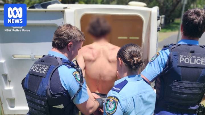 Police charge 750 people with DV offences in four-day blitz, as services call for funding