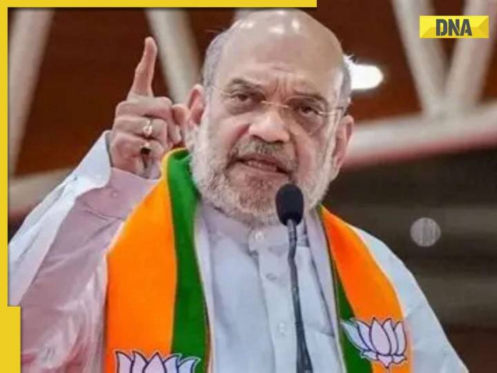 Bihar Election Result 2025: Amit Shah hails BJP victory for 'Developed Bihar' ca