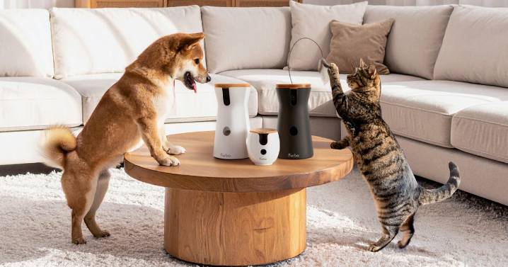 Dog owners praise 'amazing' treat-tossing pet gadget now 84% off for Black Friday to £32