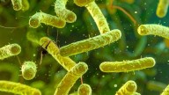 Lo usas todos los días y está lleno de gérmenes y bacterias: piden que lo limpiemos así