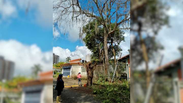 Labores de limpieza en U.E Paraguay avanzan en 70%