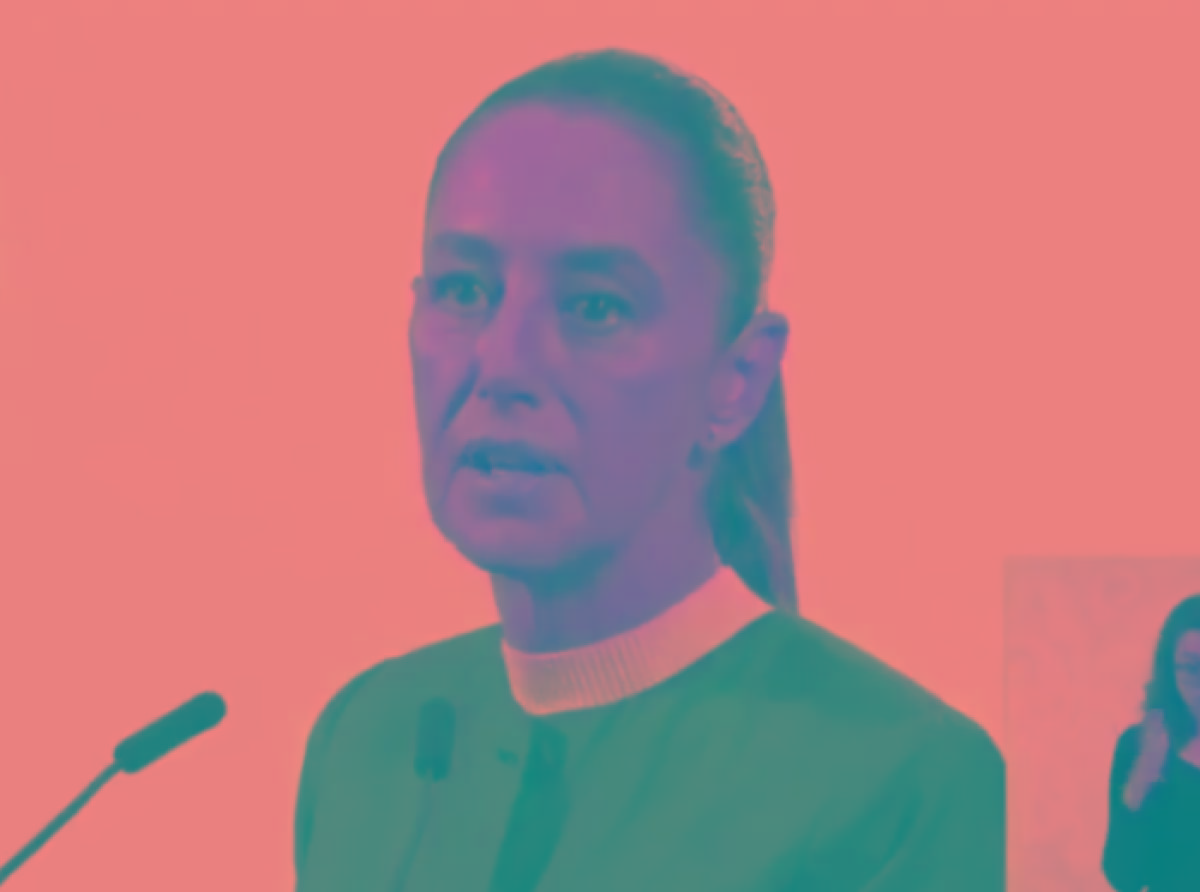 Guerrillera Hasta Las Chanclas