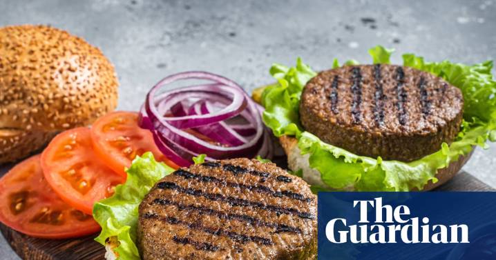 Ban on veggie ‘burgers’: plant-based products may lose meaty names in UK under EU law
