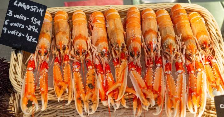'Bizarre' theft of fancy seafood delivery leaves Michelin-star restaurant £200 out of pocket