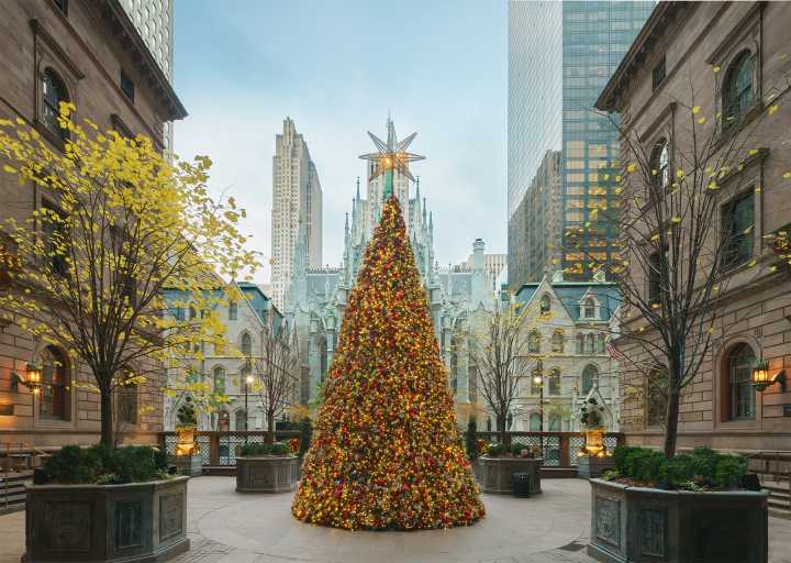 Best Christmas Things to Do NYC for a Magical Time in 2025