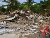 Reportan daños en 18 mil hectáreas de cultivo en Veracruz tras lluvias
