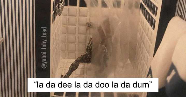 Woman Keeps Photographing Her Toad Doing Human-Like Things In Her Dollhouse And People Are Loving The Pics And The Captions