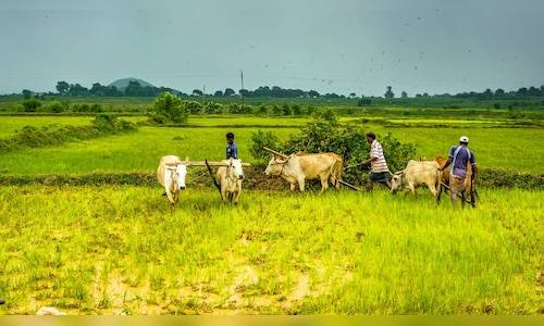 PM Kisan 21st instalment update: Eligibility, expected date of disbursal and more