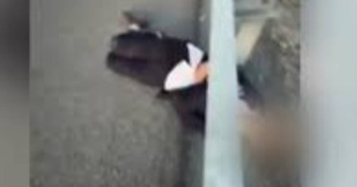 Violencia grupal en Aguaray: tres jóvenes detenidos tras casi asesinar a un hombre