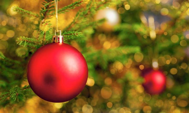 Delaware beaches ring in holidays with tree lightings