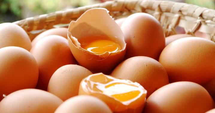 ¿Es seguro consumir carne de ave y huevos tras el aumento de casos de gripe aviar??