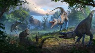The case of the tiny Tyrannosaurus might have been cracked