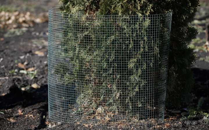 Here’s your last-minute yard and garden fall checklist