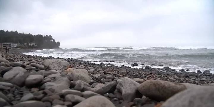‘Suspected naval flare’ washes up on Seaside beach