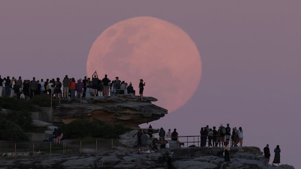 IN PHOTOS | Sightings of November's supermoon