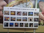 Semillas de armonía 2025: el arte que florece en el Huila