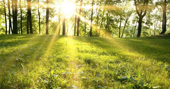 Venison For Veterans program continues to grow