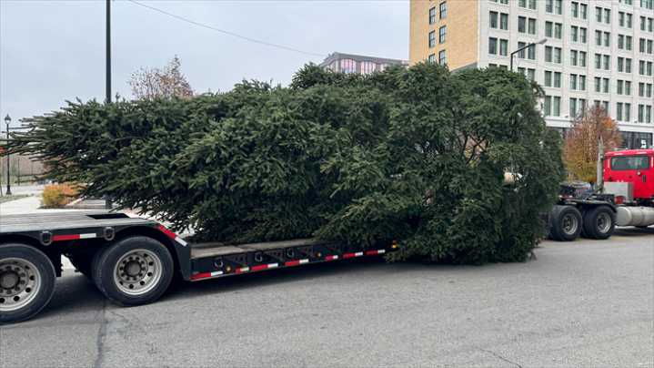 Youngstown Christmas tree arrives downtown ahead of holiday festivities